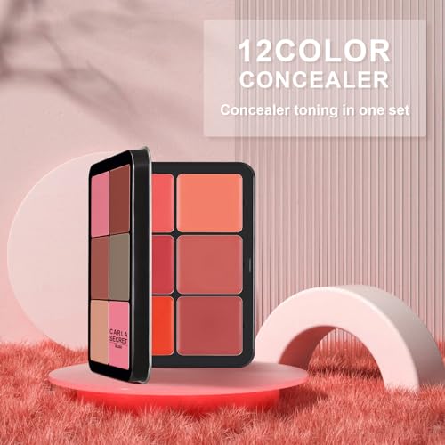 HOSAILY 12 Colors Cream Blush Palette Matte Blush Contour and Highlight Blush Palette Waterproof and Long Lasting Blush Cr...