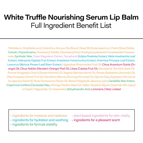 d'alba Piedmont Italian White Truffle Nourishing Serum Lip Balm, Vegan Skincare, Hydrating Lip Care with White Truffles fo...