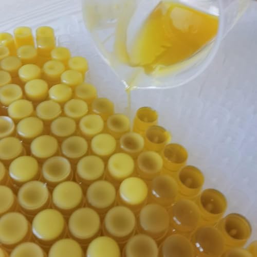 2PCS Natural Plant Lip Balm for Dark Lips,Exfoliating Lip Scrub, Moisturizing Lip Hyaluronic Acid Exfoliating Dead Skin, F...