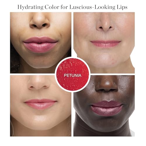 Ogee Tinted Sculpted Lip Oil - Lip Stain Made with 100% Organic Coconut Oil, Jojoba Oil, and Vitamin E - Best as Lip Balm,...