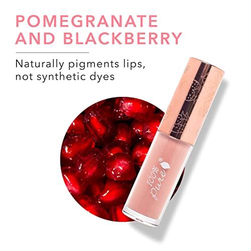100% PURE Lip Gloss (Fruit Pigmented), Naked, High Shine, Moisturizing, Natural Lip Gloss, Sheer Finish, Tinted Lip Gloss ...