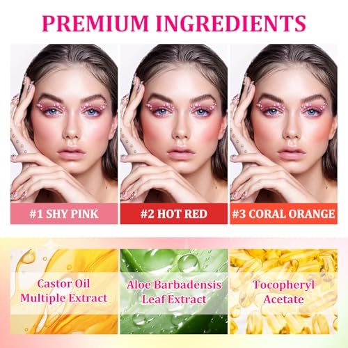 3PCS Blush Stick for Cheeks,Multi-use Solid Matte Makeup Stick Blush Cream for Cheek Eyes and Lips Tint,Moisturizing Tinte...