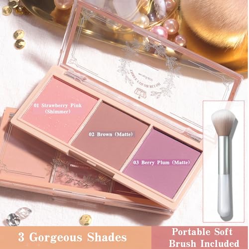 3-Color Blush Palette with Brush - Matte & Shimmer Powder Blush Trio - Long Lasting, High Pigment Face Makeup - Cool Tone ...